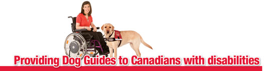 Providing Dog Guides to Canadians with Disabilities